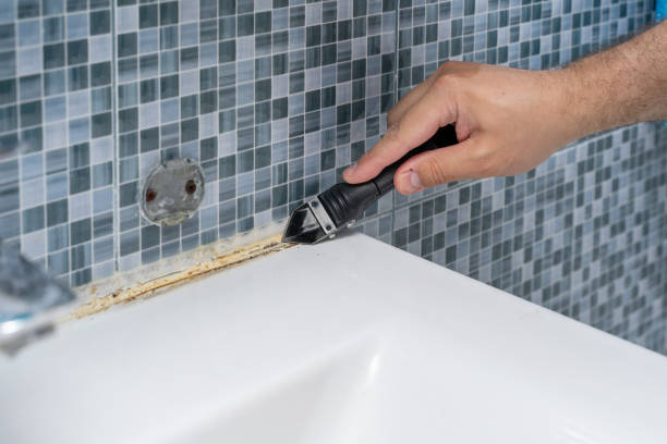 Grosse Pointe Park, MI Mold Removal Company
