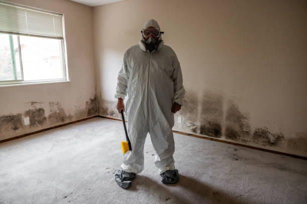 Best Crawl Space Mold Removal  in Grosse Pointe Park, MI